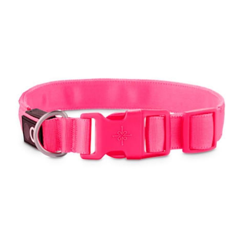 Good 2 Go led light up dog collar Medium